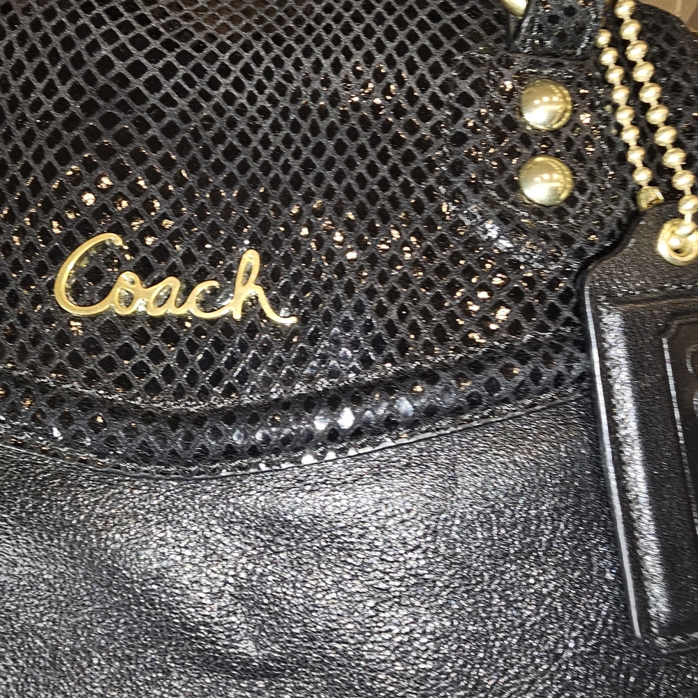 Coach Hobo Bag